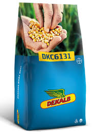 DKC 6131