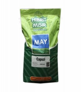 May Capuzi