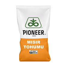 Pioneer P06008